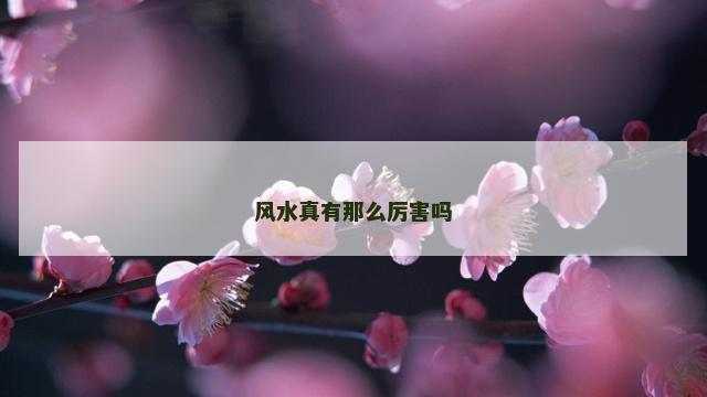 风水真有那么厉害吗