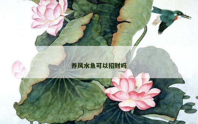 养风水鱼可以招财吗