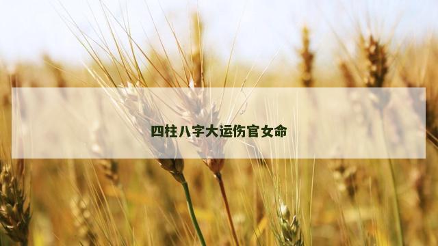 四柱八字大运伤官女命