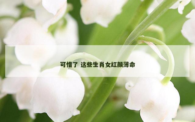 可惜了 这些生肖女红颜薄命