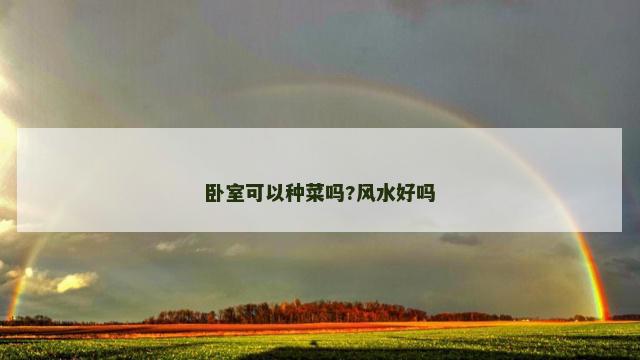 卧室可以种菜吗?风水好吗