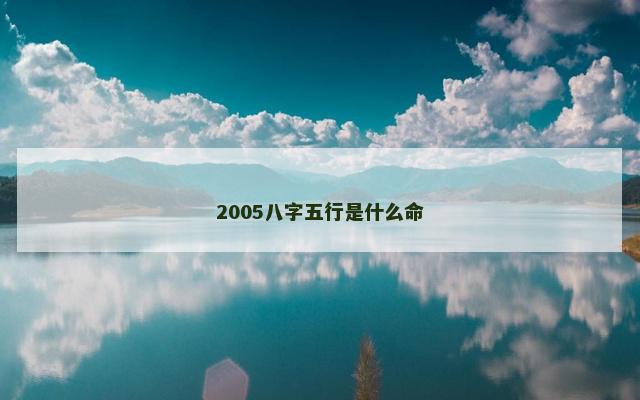 2005八字五行是什么命