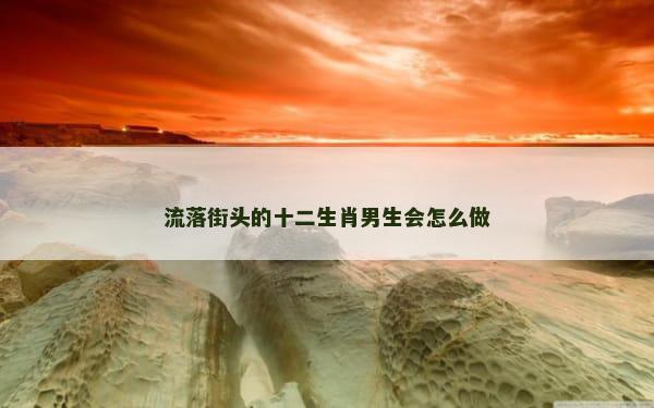 流落街头的十二生肖男生会怎么做