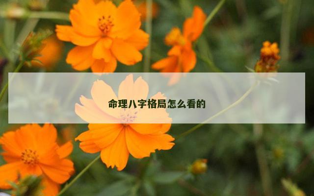 命理八字格局怎么看的
