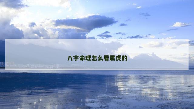 八字命理怎么看属虎的