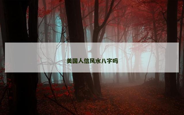 美国人信风水八字吗