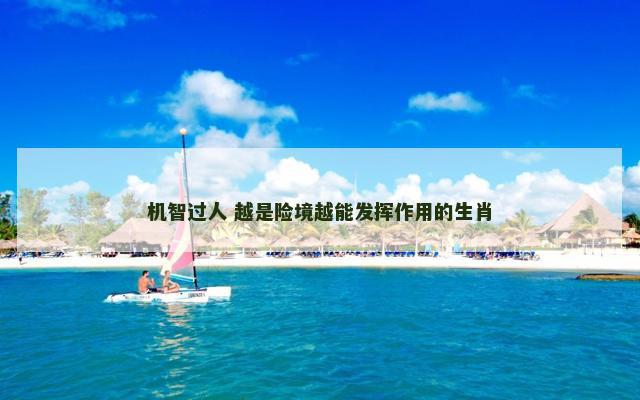 机智过人 越是险境越能发挥作用的生肖