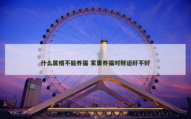 什么属相不能养猫 家里养猫对财运好不好