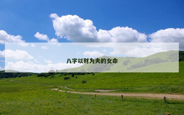 八字以财为夫的女命