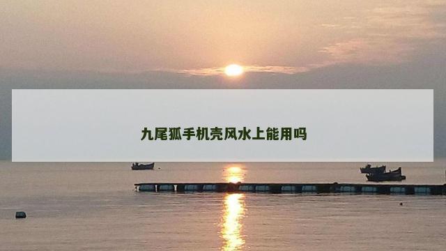九尾狐手机壳风水上能用吗