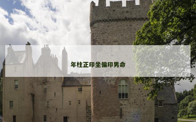 年柱正印坐偏印男命