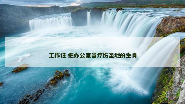 工作狂 把办公室当疗伤圣地的生肖 工作狂 把办公室当疗伤圣地的生肖