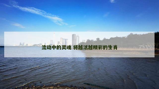 流动中的灵魂 将越活越精彩的生肖