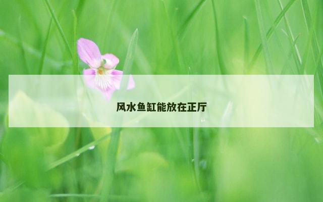 风水鱼缸能放在正厅
