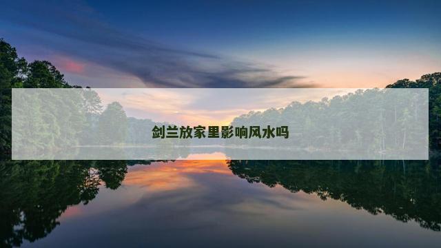 剑兰放家里影响风水吗 剑兰放家里影响风水吗