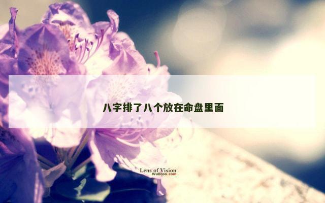 八字排了八个放在命盘里面