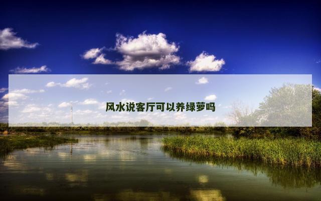 风水说客厅可以养绿萝吗 风水说客厅可以养绿萝吗