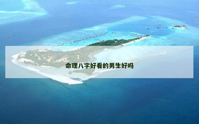 命理八字好看的男生好吗