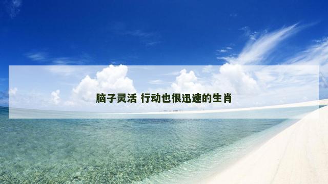 脑子灵活 行动也很迅速的生肖