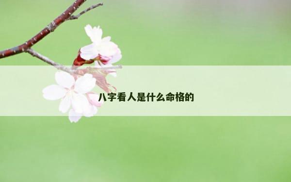 八字看人是什么命格的