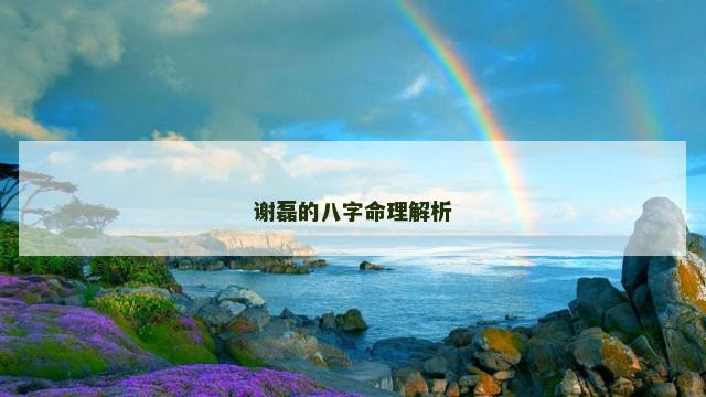 谢磊的八字命理解析