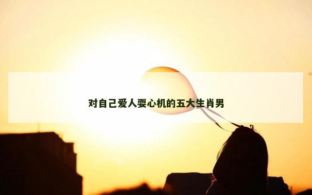 对自己爱人耍心机的五大生肖男