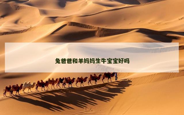 兔爸爸和羊妈妈生牛宝宝好吗