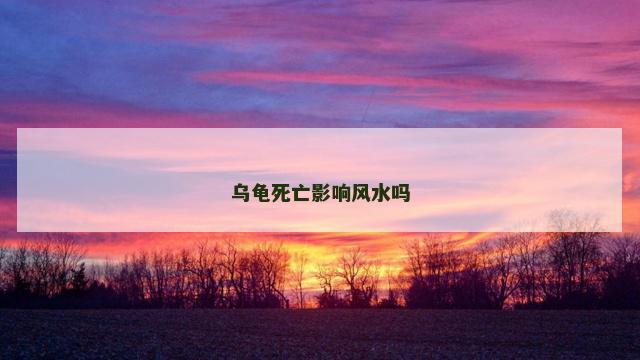 乌龟死亡影响风水吗