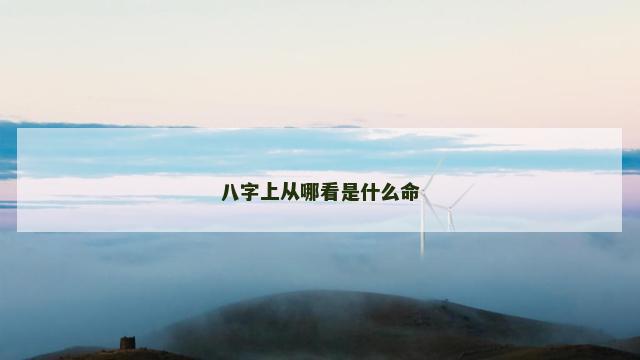 八字上从哪看是什么命
