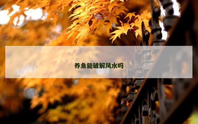 养鱼能破解风水吗