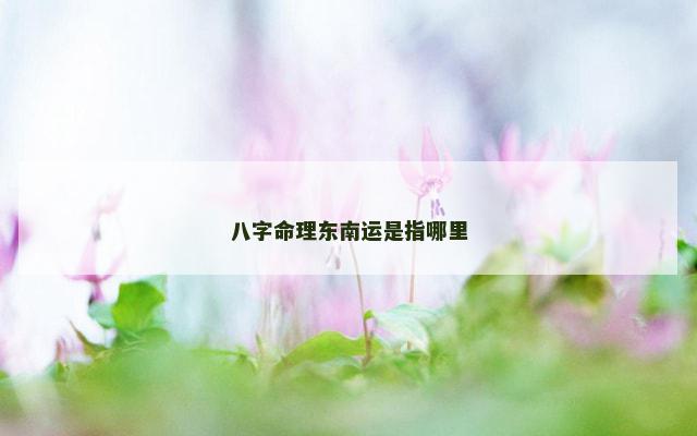 八字命理东南运是指哪里 八字命理东南运是指哪里