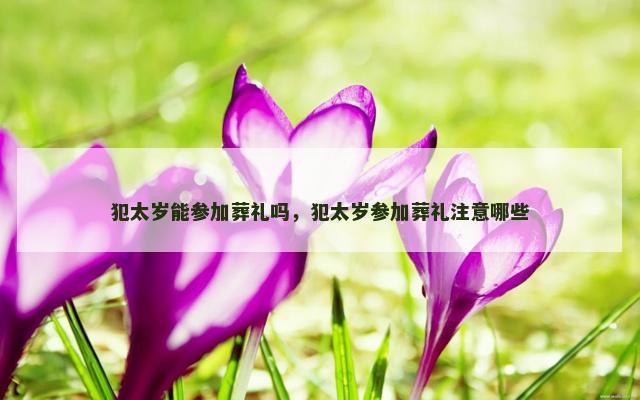 犯太岁能参加葬礼吗,犯太岁参加葬礼注意哪些 犯太岁能参加葬礼吗,犯太岁参加葬礼注意哪些