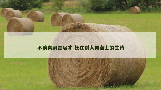 不演喜剧是屈才 长在别人笑点上的生肖