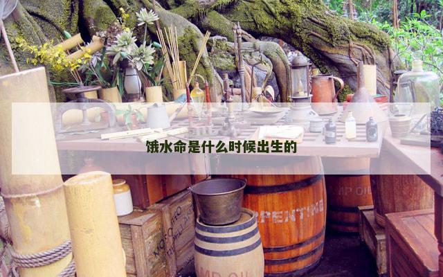 饿水命是什么时候出生的