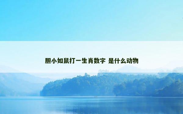 胆小如鼠打一生肖数字 是什么动物