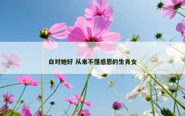 白对她好 从来不懂感恩的生肖女