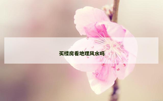 买楼房看地理风水吗