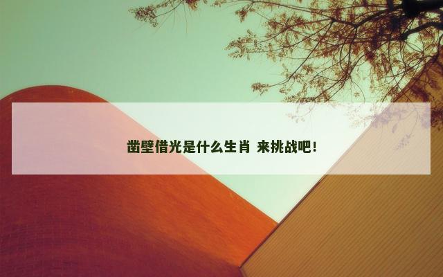 凿壁借光是什么生肖 来挑战吧！
