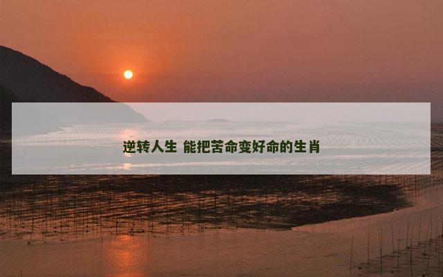 逆转人生 能把苦命变好命的生肖
