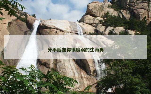 分手后变得很脆弱的生肖男