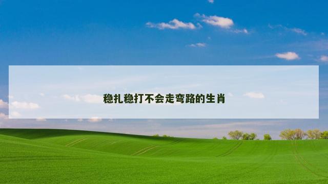 稳扎稳打不会走弯路的生肖