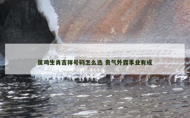 属鸡生肖吉祥号码怎么选 贵气外露事业有成