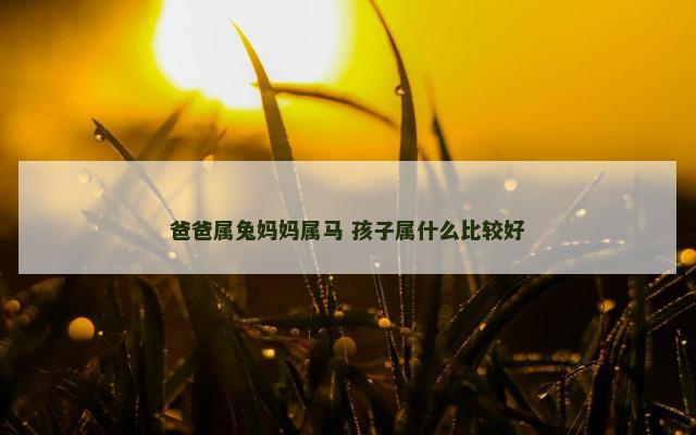 爸爸属兔妈妈属马 孩子属什么比较好