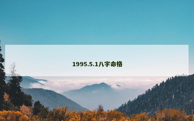 1995.5.1八字命格