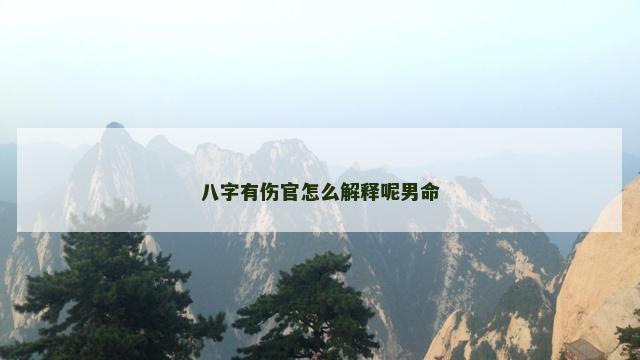 八字有伤官怎么解释呢男命