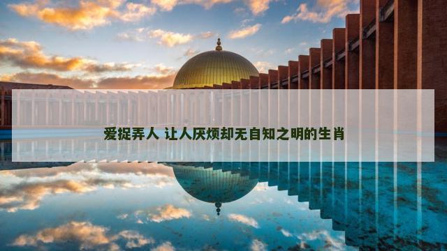 爱捉弄人 让人厌烦却无自知之明的生肖 爱捉弄人 让人厌烦却无自知之明的生肖