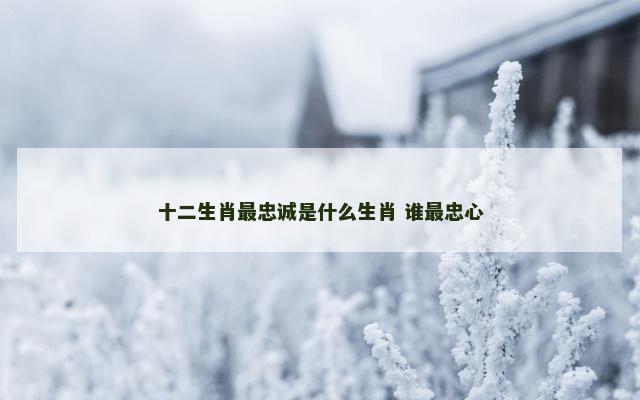 十二生肖最忠诚是什么生肖 谁最忠心