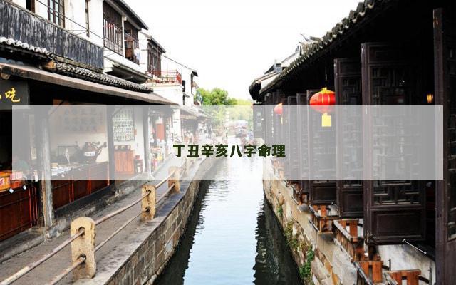 丁丑辛亥八字命理