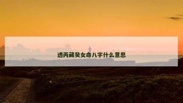 透丙藏癸女命八字什么意思