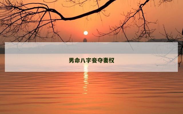 男命八字妾夺妻权